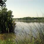lac-d-uby-4 lac-d-uby-4