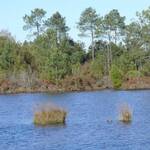 lac-de-curton-4