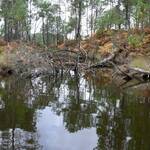 lac-de-curton-5