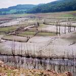 panneciere-vidange-2001-3