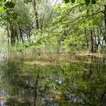 lac-d-orient-2