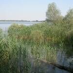 lac-d-orient-3