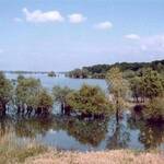 lac-d-orient-4