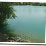 lac-gigantica-5