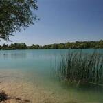 lac-gigantica-7