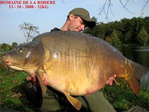 ribiere-2