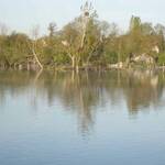 vert-le-petit-9 vert-le-petit-9