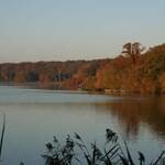 Poiteviniere-8