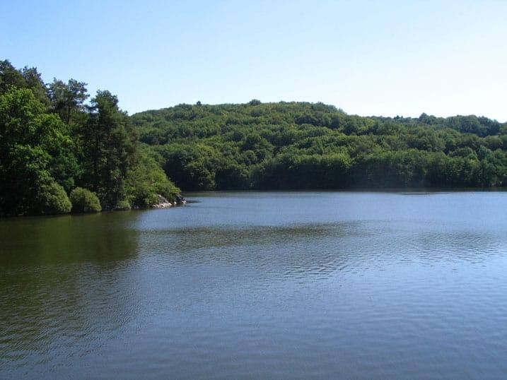 Lac Du Crescent Grand Lac Public Nièvre (58)