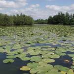 Domaine-vallee-5