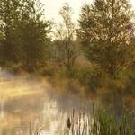 Heron-4