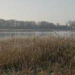 Puits-5