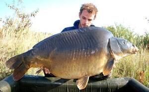 Heron-carpe-33kgs-1