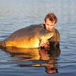 Heron-carpe-33kgs-3