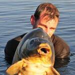Heron-carpe-33kgs-4