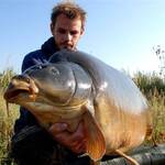 Heron-carpe-33kgs-5