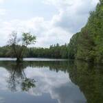 Etang-Marco-2