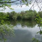 Etang-Marco-3