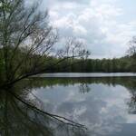 Etang-Marco-4