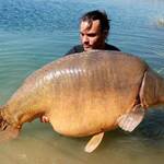 Raphael-Biagini-carpe-miroir-35-5kgs-3