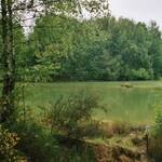 Etang-aquadev-13