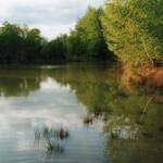 Etang-aquadev-5