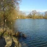 Etang-Nokilus-3