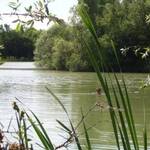 Etang-Nokilus-5