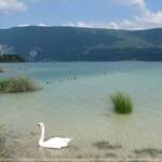 Lac-Aiguebelette-6