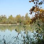 Etang-12-7-2