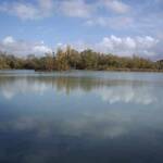 Etang-12-7-5