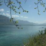 Lac-d-Annecy-7
