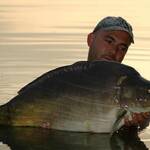 Etang-la-noue-du-bois-4