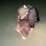 The-Brown-Fish-84-livres-2
