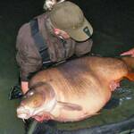 The-Brown-Fish-84-livres-3