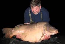 Carpe miroir 41,700 Kgs – Lac de Graviers (Luke Moffatt Lake) – Lac privé – Andre Komornicki