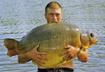 Carpe miroir 35 Kgs – Lac de curtons (Rainbow Lake) – Lac privé