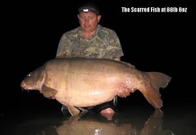 Scarred, la carpe record du lac des graviers capturée par Stuart Arkell : 40,3Kgs