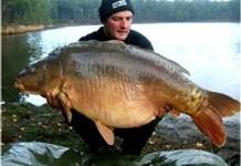 Carpe miroir 34 Kgs – Lac de curtons (Rainbow Lake) – Lac privé – Rob Hughes