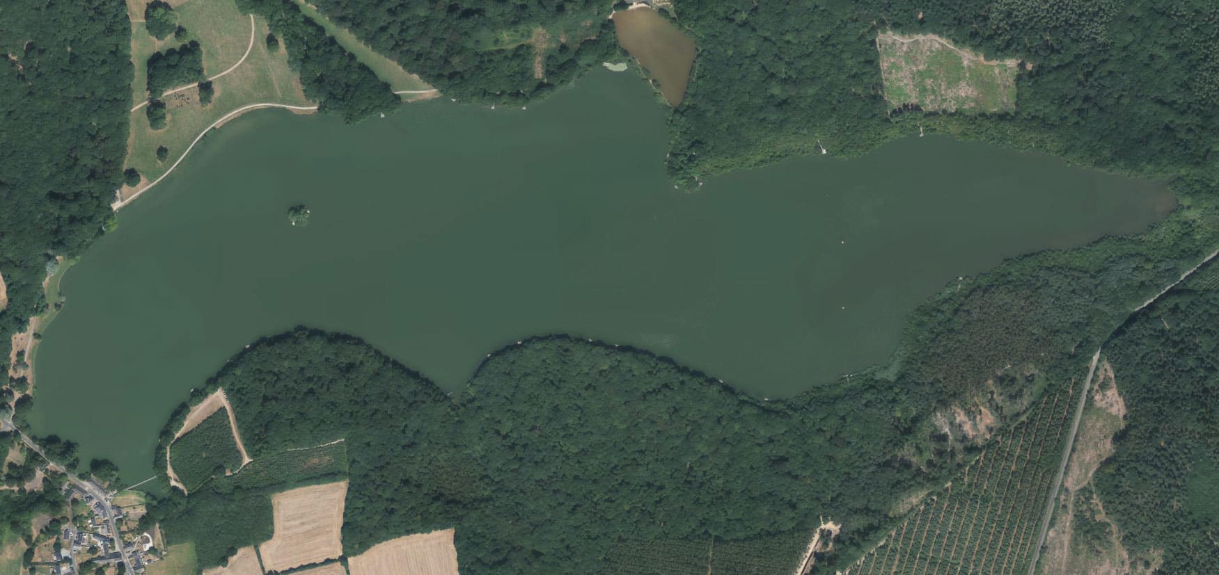 Peche Carpe Etang Prive Pays De La Loire Etang De La Poitevinière - Lac Privé - Loire-Atlantique (44) |  Colinmaire.net