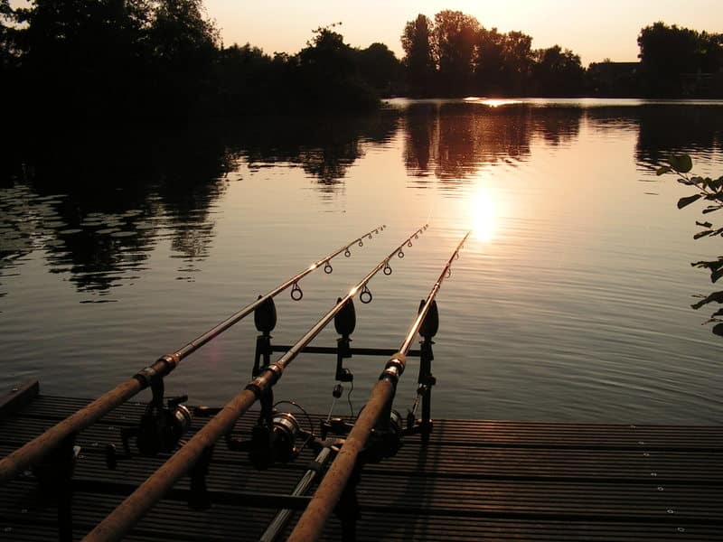 Peche Carpe Etang Prive Pays De La Loire