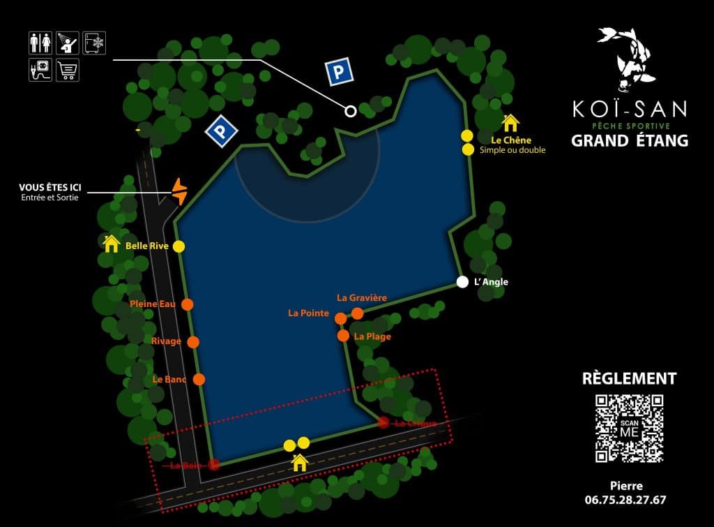 Koi San Cheffes (49) : Pêche à la carpe, guide complet & tarifs 12