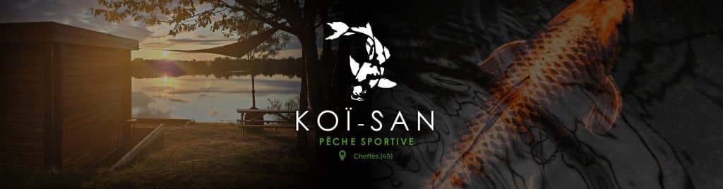 Koi San Cheffes (49) : Pêche à la carpe, guide complet & tarifs 16