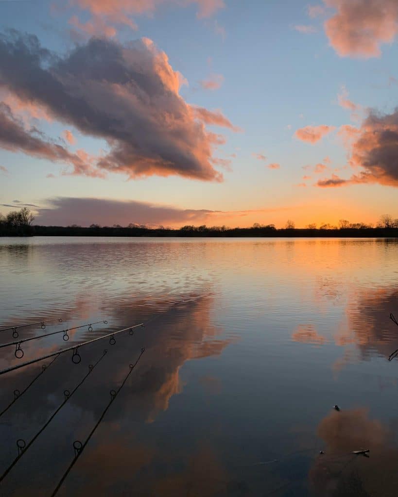 Koi San Cheffes (49) : Pêche à la carpe, guide complet & tarifs 13