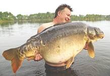 Carpe miroir 40,935 Kgs – Lac de curtons (Rainbow Lake) – Lac privé – Rob Hales