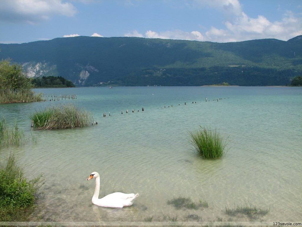 La Plage Du Pré Argent - Lac D'aiguebelette Novalaise Avis