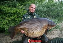 Carpe Commune 35,7 Kgs – Gravière en Allemagne – Christian Finkelde
