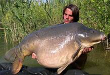 Carpe miroir 30,100 Kilos – Lac public non communiqué – Raphaël Biagini