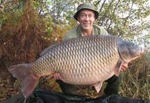 Nouvelle carpe commune record pour Rainbow Lake : 38,5 kilos