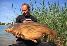 Record Slovaquie : carpe record Commune de 30 kilos